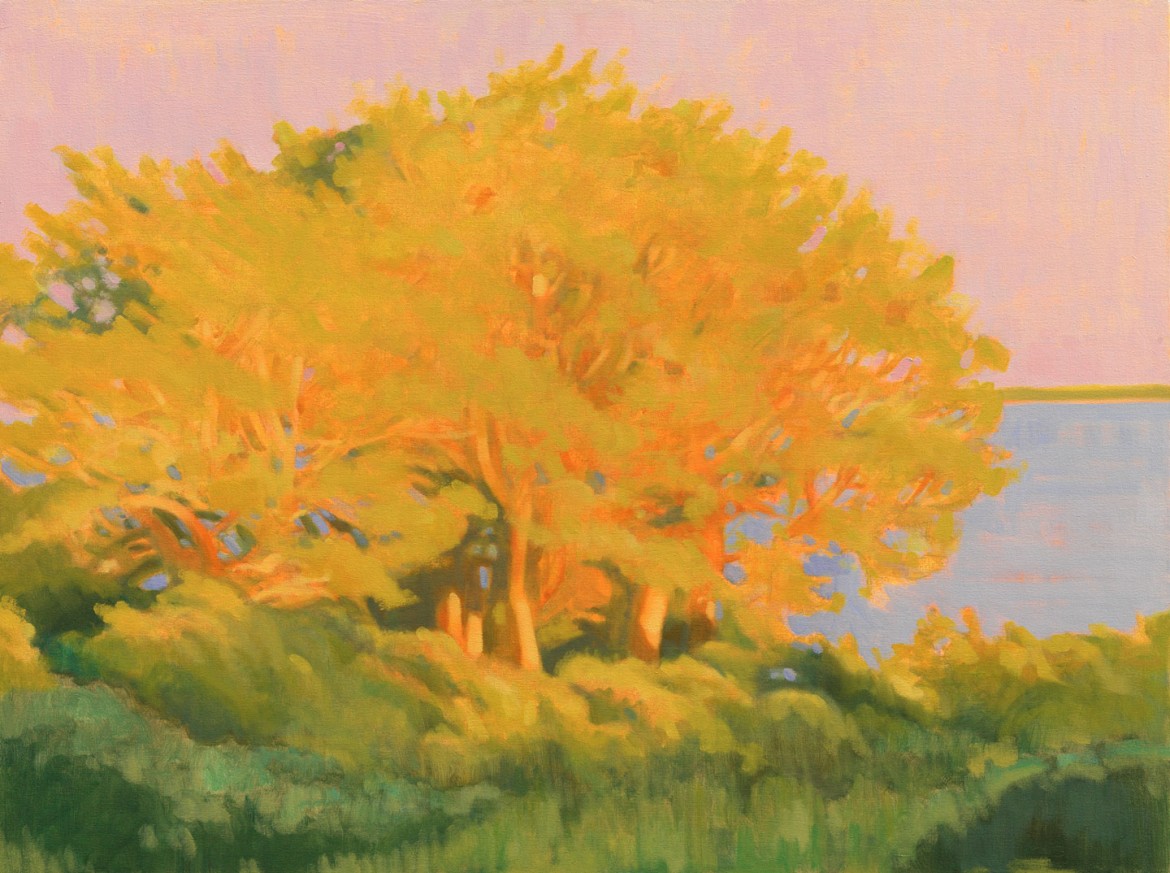 Orange Petticoat, oil on wood panel, 40 x 30
