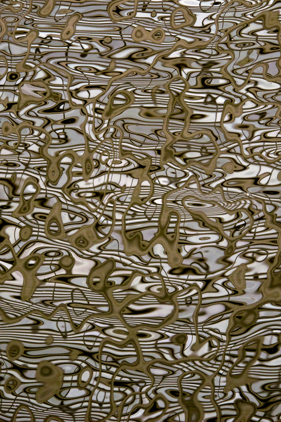 Giclee print of digital photograph by Laura D. Roosevelt