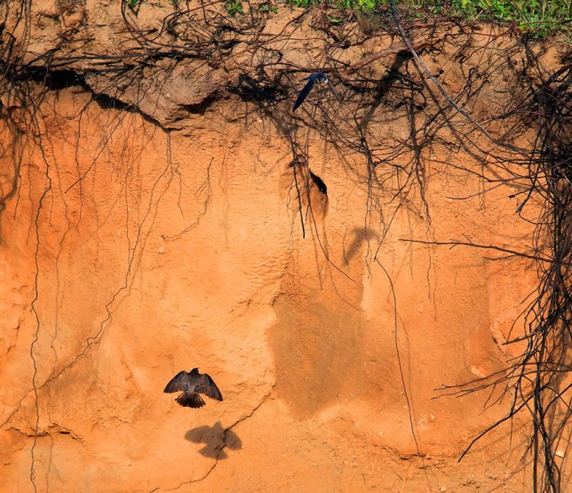 Fighting for My Life