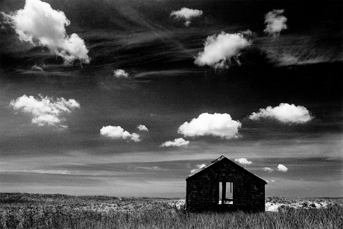 Quansoo 1981 —Alison Shaw
